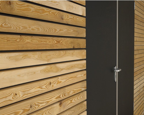 Dřevěná fasáda s pohledem na dveře