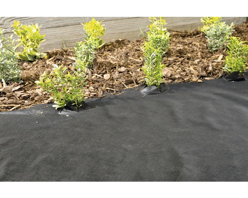 Zahradní scéna s protiplevelovou textilií a rostlinami v záhonu