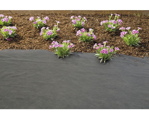 Zahrada s protiplevelovou textilií, mulčovací kůrou a kvetoucími karafiáty