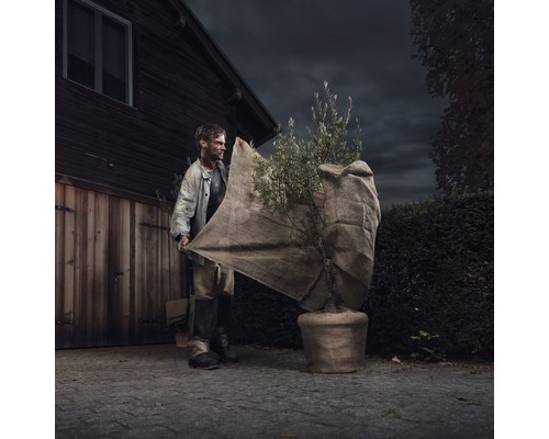 Muž zakrývá rostlinu v květináči zimní ochranou netkanou textilií.