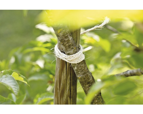 Podpěra stromu s vázacím materiálem