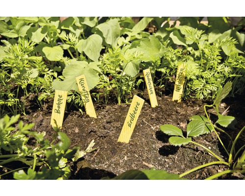 Zvýšený záhon s mladou zeleninou a štítky rostlin