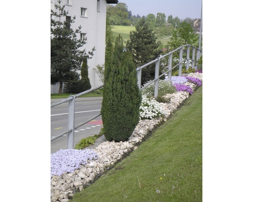 Upravená zahrada s různými rostlinami a kameny.