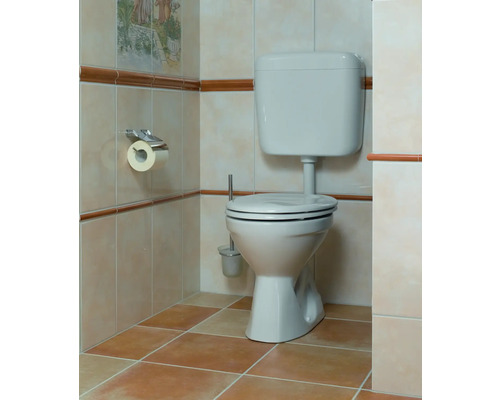 Koupelna s toaletou, toaletním kartáčem a držákem toaletního papíru