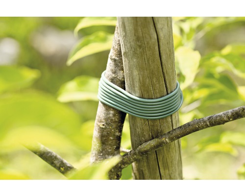 Páska na upevnění stromu k dřevěnému sloupku