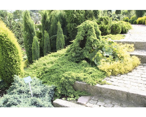 Zahradní krajina s různými okrasnými keři a dřevinami podél kamenné cesty.