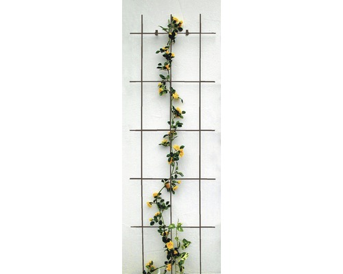 Mříž na popínavé rostliny kovová 45 x 150 cm hnědá