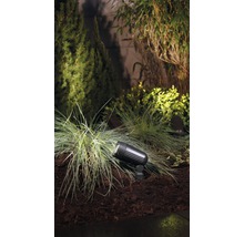 LED venkovní bodové osvětlení Palermo IP44 2W 120lm 3000K antracit set - zapichovací-thumb-1 LED venkovní bodové osvětlení Palermo IP44 2W 120lm 3000K antracit set - zapichovací-thumb-1