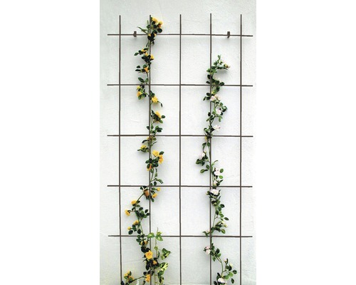 Mříž na popínavé rostliny kovová 75 x 150 cm hnědá