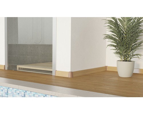 Koupelna s dřevěnými podlahovými lištami, sprchou a pokojovou rostlinou