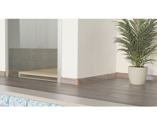 Interiérová scéna s podlahovými lištami, podlahovou krytinou a pokojovou rostlinou v květináči