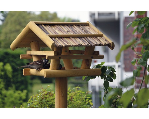 Krmítko pro ptáky s jídlem a vrabcem