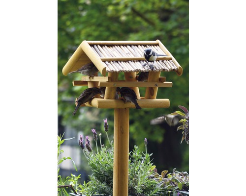 Dřevěný ptačí dům s několika ptáky