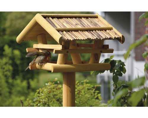 Dřevěný krmítko pro ptáky s ptákem