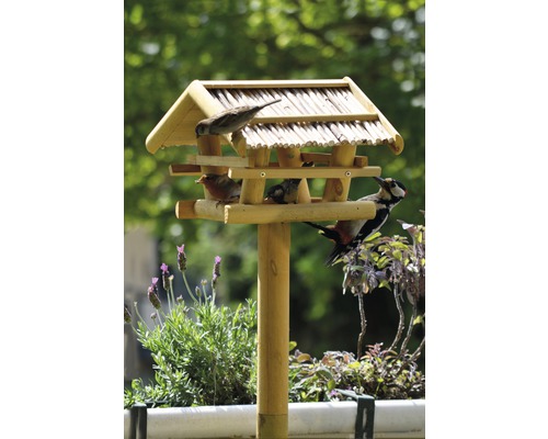 Krmítko pro ptáky s různými ptáky na stojanu