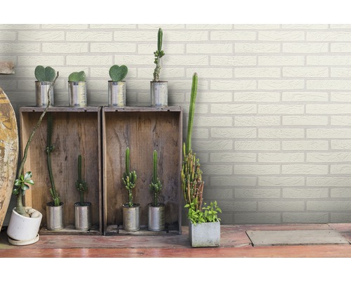 Dekorativní design pokoje s cihlovou stěnou a sukulenty.