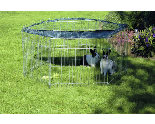 Kovová venkovní ohrádka se dvěma králíky na zahradě