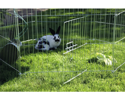 Králíci ve venkovním výběhu na trávníku