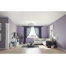 Barva Hornbach StyleColor Lavender 2,5 l
