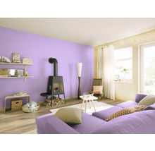 Barva Hornbach StyleColor Lavender 2,5 l