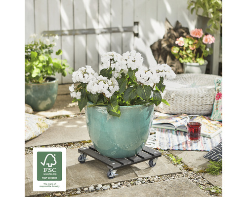 Květináč s rostlinou na pojízdném vozíku venku s pečetí FSC