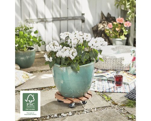 Scéna s květináčem na kolečkové desce s pečetí FSC na zahradě.