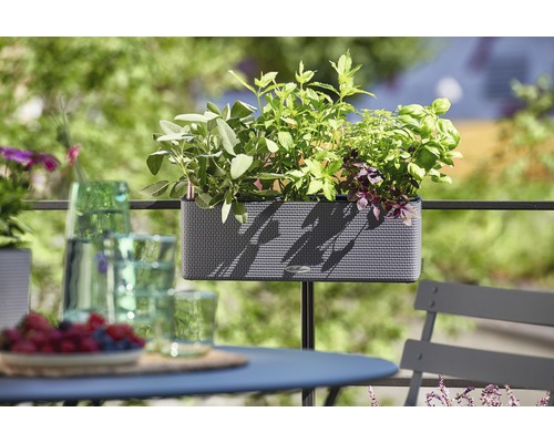 Balkonová scéna s osázeným truhlíkem na zábradlí