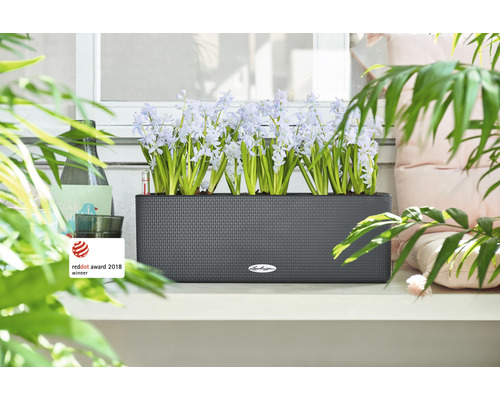 Obdélníkový truhlík s kvetoucími hyacinty na okenním parapetu