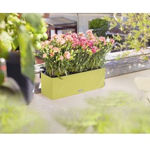 Obdélníkový květináč s karafiáty na balkóně.