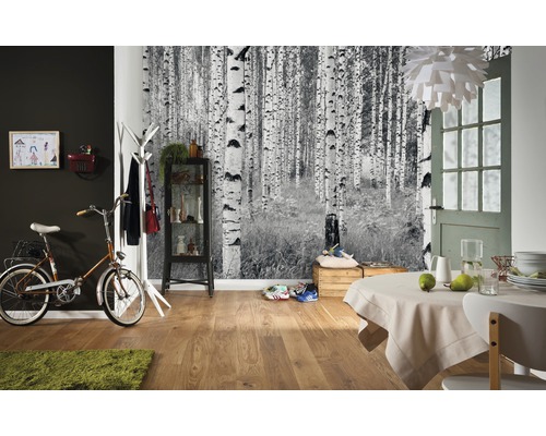 Obývací pokoj s tapetou březového lesa, jízdním kolem a jídelním stolem.