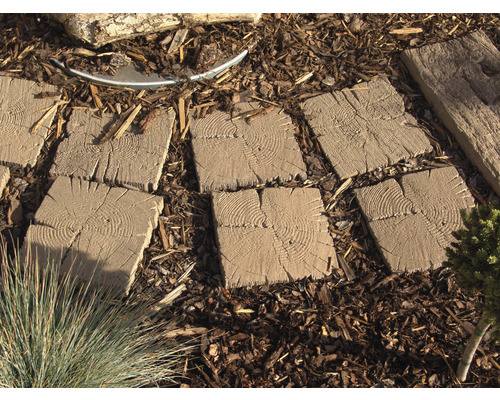 Čtvercové betonové nášlapné desky se vzorem řezu stromu v zahradní cestě.