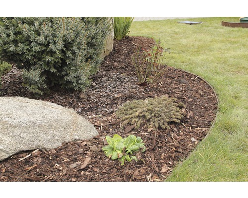 Upravená zahradní plocha s rostlinami, kameny a mulčovací kůrou pro dekoraci.