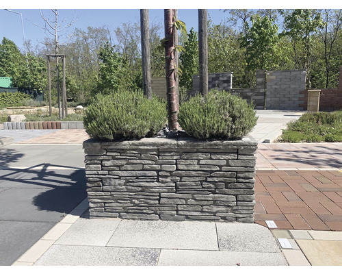 Kamenný květináč s rostlinami a stromem