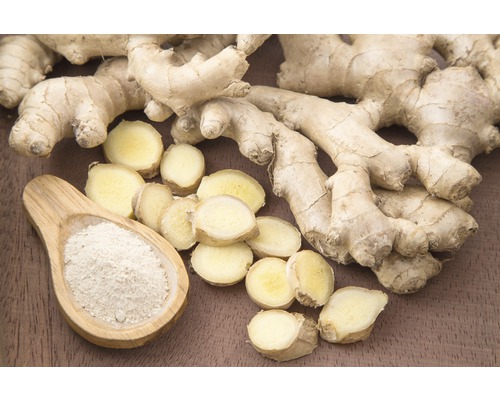 Zázvorový kořen s plátky zázvoru a zázvorovým práškem