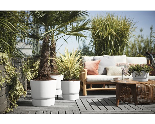 Terasa s rostlinami v květináčích a zahradním nábytkem