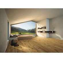 Světlá místnost s dřevěnou podlahou, velké okno s výhledem na zelenou krajinu, police a minimalistický nábytek