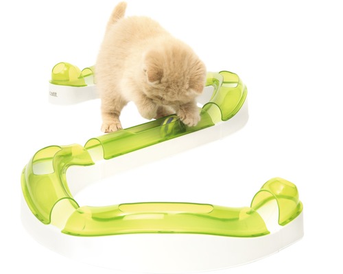 Kočka si hraje s interaktivní hračkou