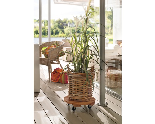 Dekorativní rostlina v košíku na podložce s kolečky na terase.