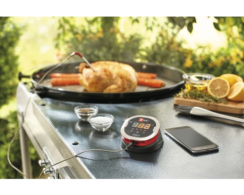 Scéna s grilem, kuřetem, mrkví, kořením, citronem, olejem a digitálním teploměrem.