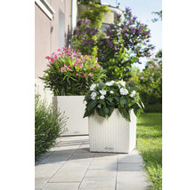 Dva čtvercové květináče s květinami na terase.