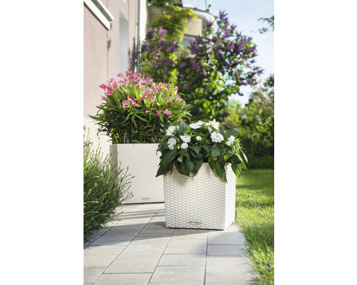 Dva čtvercové květináče s květinami na terase.