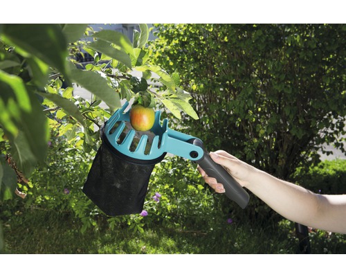 Sběrač jablek v akci s jablkem na stromě