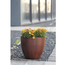 Květináč plastový Lafiora Liam Ø 31 x 27 cm rezavý-thumb-5