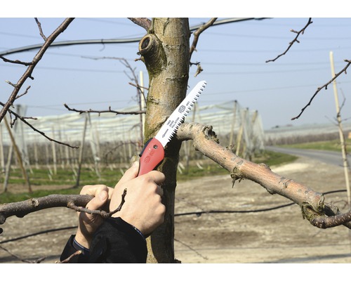 Osoba uřezává větev ruční pilou.