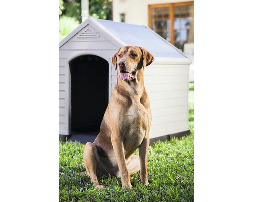 Pes sedí před plastovou psí boudou na zahradě