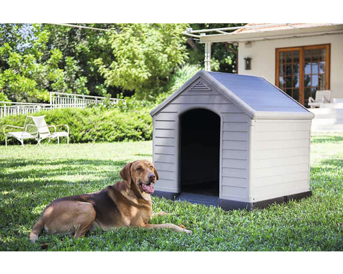 Pes leží před boudou na zahradě.