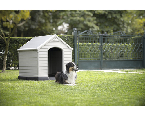 Pes leží před boudou na zahradě