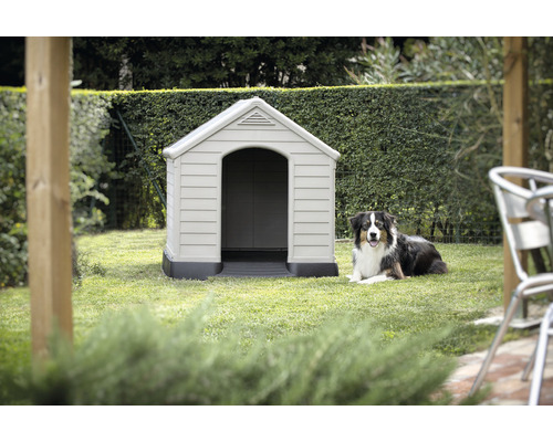 Plastová psí bouda se psem na zahradě