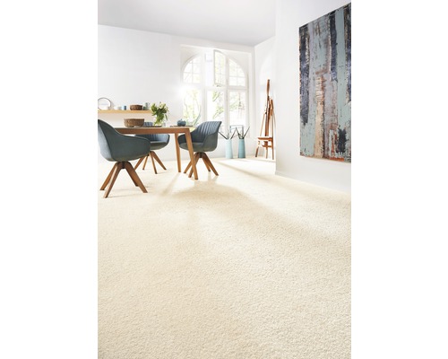 Světlý obývací pokoj s kobercem, jídelním stolem a židlemi