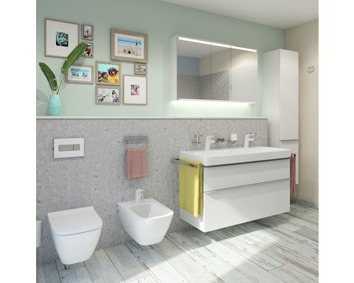 Moderní koupelna s toaletou, bidetem, umyvadlovou skříňkou a zrcadlovou skříňkou